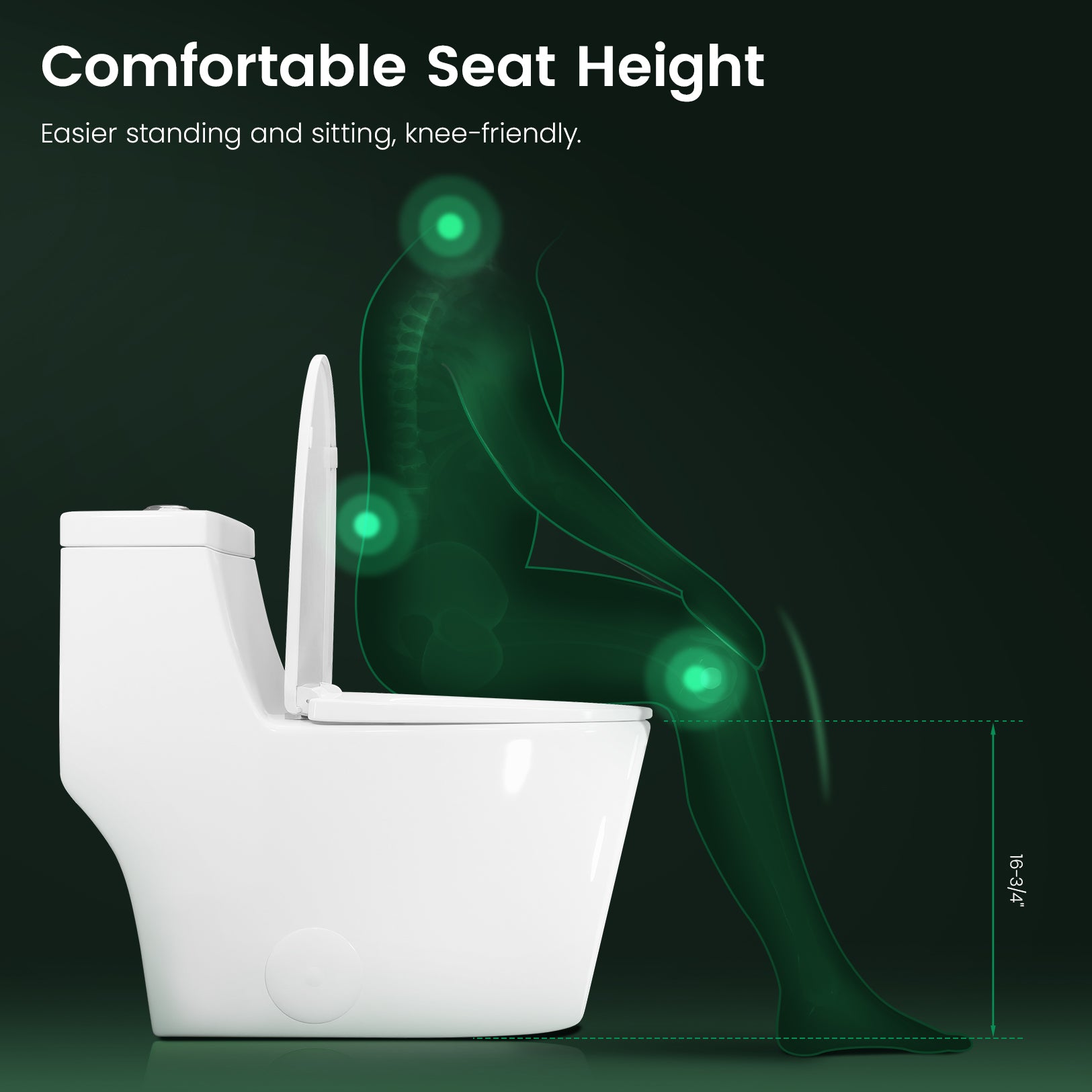 SOTOMO MJ-80 One-Piece Elongated Toilets